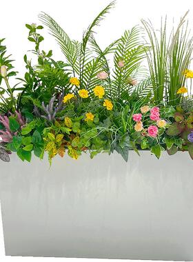 wo+龟背绿植混搭仙人掌花箱搭配