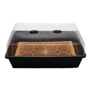 多肉植物蓄水育苗盆叶插闷养盆小方盆组合盘带盖多肉7cm方盆托盘