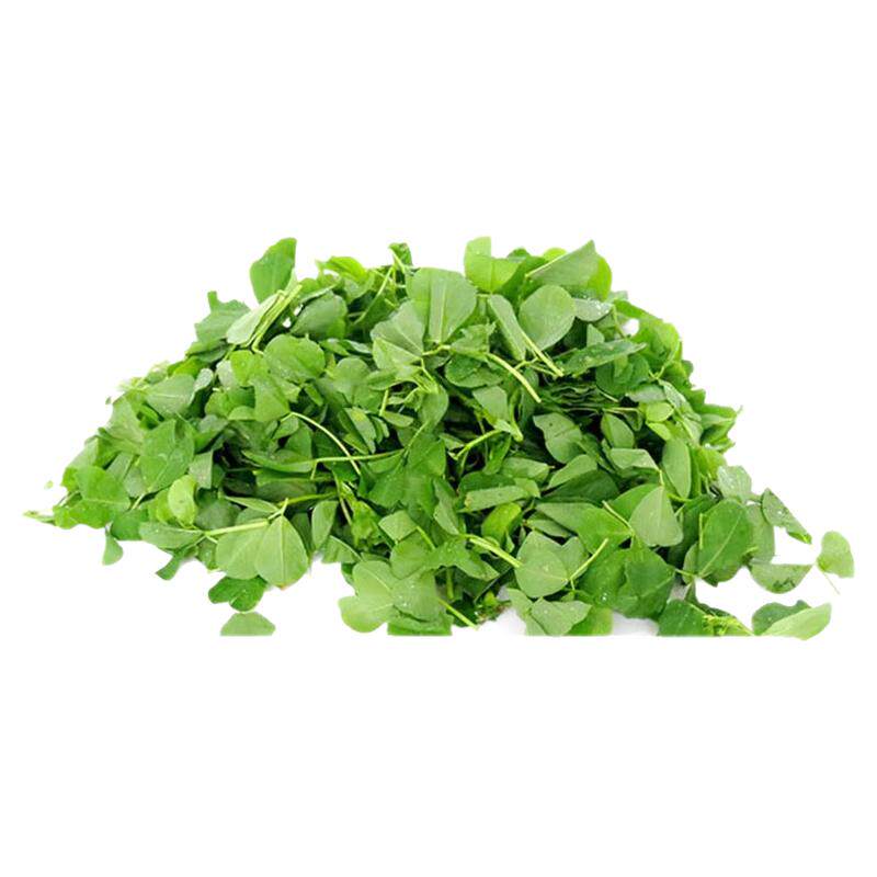 新鲜草头金花菜三叶菜蔬菜