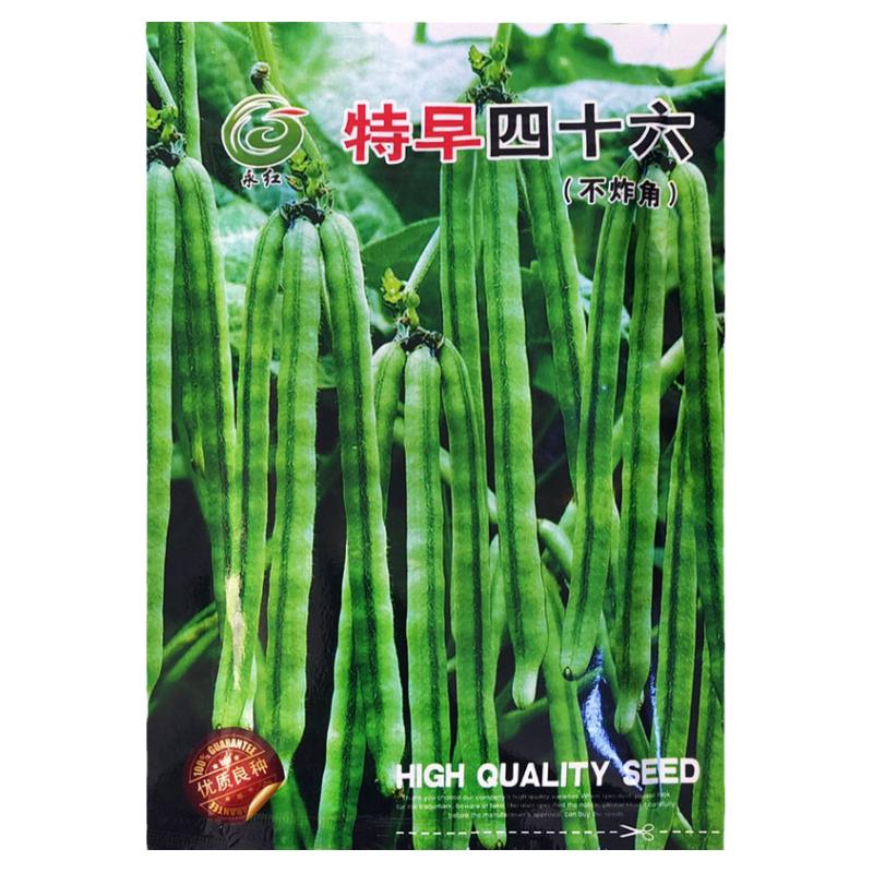 早熟毛绿豆种子五谷杂粮种子芽苗菜豆芽菜种子绿小豆春秋绿豆种子