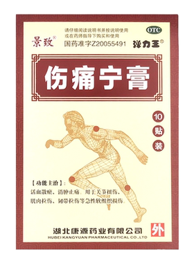 【康源】伤痛宁膏10贴/盒