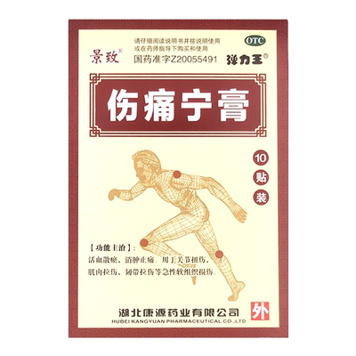 【康源】伤痛宁膏10贴/盒