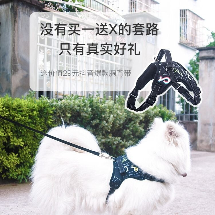 狗绳大型犬可调节牵引绳中小型犬金毛泰迪博美遛狗神器自动伸缩绳