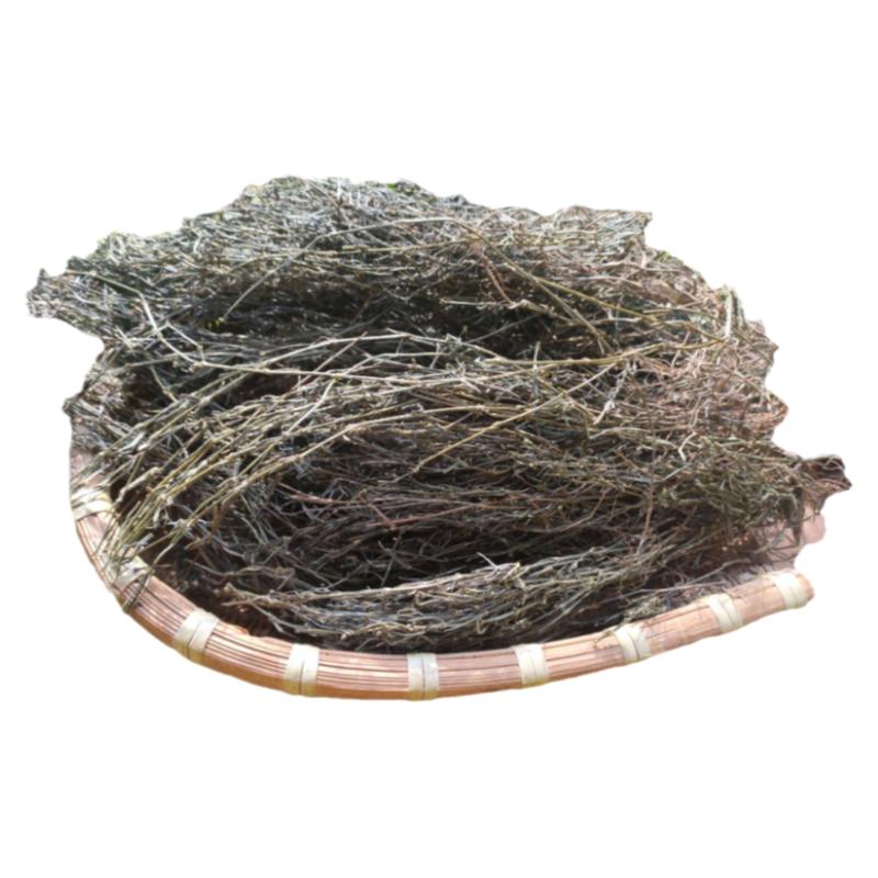 白花蛇舌草深山无硫药材农家自晒