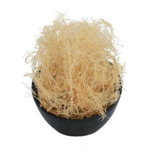 25年新干龙须菜250g威海特产海草凉粉冻原料石花菜鹿角菜2份包邮