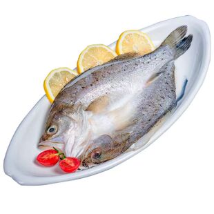 深海七星鲈鱼开背新鲜冷冻鲜活海鲈鱼海鱼卢鱼水产烤鱼半成品商用