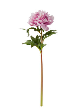 HarborHouse美式家居装饰客厅餐厅花艺插花仿真花新品芍药
