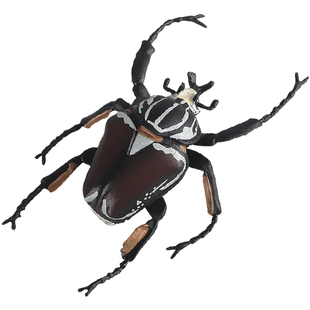 林畅模玩儿童昆虫玩具大角花金龟模型大王甲虫金龟子仿真动物认知