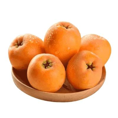 礼盒装云南蒙自枇杷丨顺丰次日达