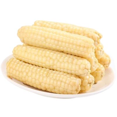 云南西双版纳新鲜拇指玉米甜香糯迷你儿童及即食早餐新货香甜健康