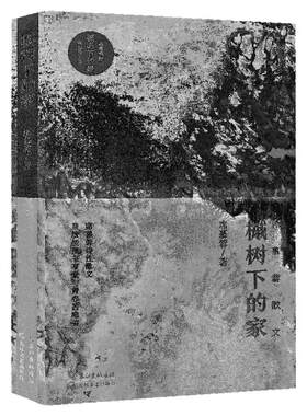 席慕蓉散文诗集4册给我一个岛 透明的哀伤 前尘昨夜此刻 七里香席慕容正版书籍名家经典散文作品诗集散文随笔集长江文艺出版