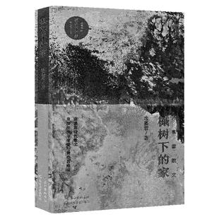 席慕蓉散文全集4册给我一个岛+透明的哀伤+槭树下的家+前尘昨夜此刻 席慕容正版书籍名家经典散文作品诗集散文随笔集长江文艺出版