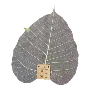 昌南菩提叶茶漏树叶子茶滤功夫茶具过滤网创意茶道配茶隔过滤器