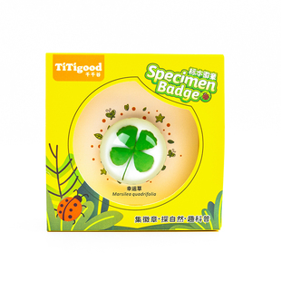 千千谷树脂徽章昆虫标本植物海洋动物真虫学生礼物别针教学玩具