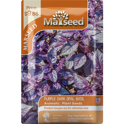 进口传家宝紫黑蛋白石罗勒种子