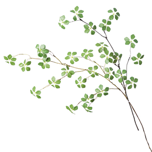 仿真绿植观音莲叶藤条客厅电视柜装饰插花假花长枝吊钟马醉木树枝