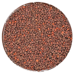 广西野生急性子中药材新鲜干货急性籽 指甲花籽 凤仙花子500g包邮