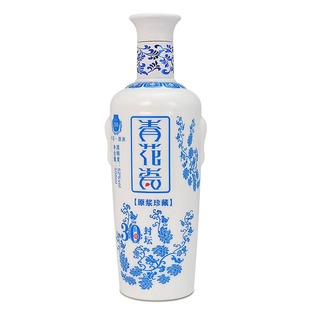 青花瓷酒瓶子空瓶高档玻璃长期存酒专用酒瓶白酒包装全套私人定制