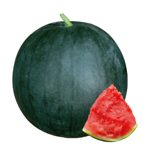 黑皮无籽西瓜种子种籽苗秧孑甜玉妃春季南方超甜高产无子水果秧苗