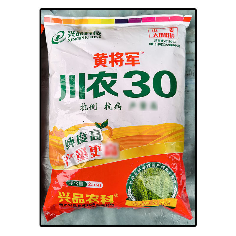 川农30黄将军原袋装小麦种子白粒