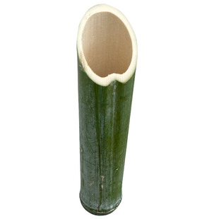 斜口竹筒插花瓶新鲜绿色竹管绿色小竹子花艺摆设环创婚庆活动摆件