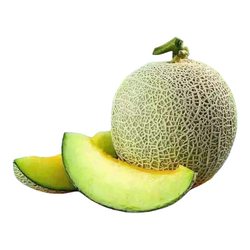 山东网纹蜜瓜玫珑瓜现摘哈密瓜
