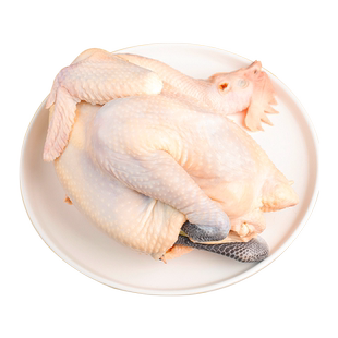 立华鲜 雪山鸡S500雪山老母鸡谷物农养整只鸡煲汤鸡