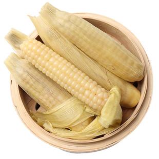 云南西双版纳拇指香甜白糯小玉米新鲜宝宝婴儿童早餐零食手指玉米