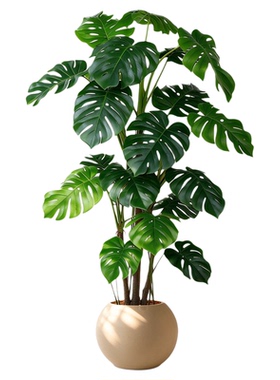 高级仿真绿植龟背竹餐厅客厅装饰绿植室内高级感逼真仿生绿植造景