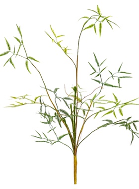 仿真铁狼萁铁芒萁蕨类花束假绿植