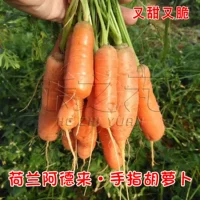 Морковная импортная тара, 10г