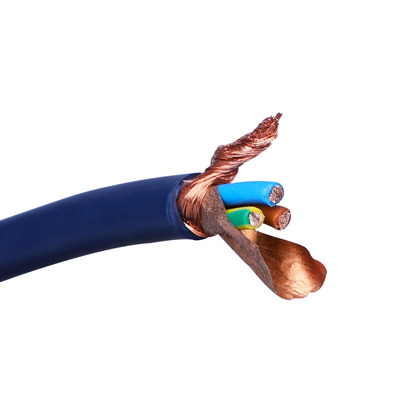 瑞士Gotham高芬音频卷装电源线