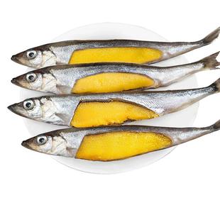 多春鱼满籽新鲜人吃籽鱼冷冻海鲜水产鲜活超特大海鱼烧烤食材商用