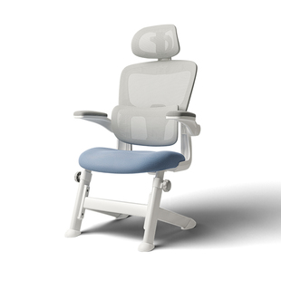 青节中学生学习椅可升降可调节家用电脑椅办公桌椅人体工学椅