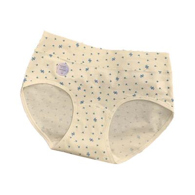 【抗病毒~】10A抗菌纯棉女士内裤