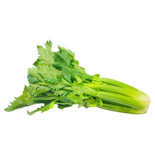 【千牛优福】新鲜水果西芹250g荷兰清芹榨汁生吃沙拉蔬菜清甜爽口