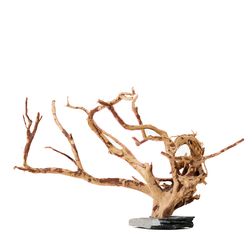新派reptizoo爬宠造景爬虫蜥蜴睫角树栖饲养箱鱼缸树根杜鹃根摆件