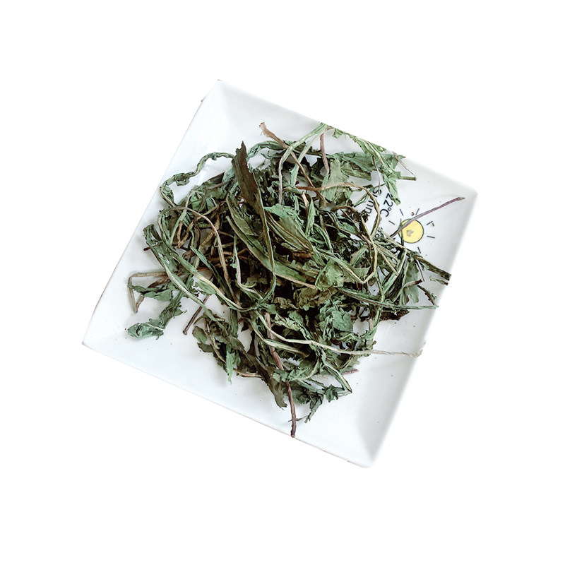 蒲公英菊苣保健抗菌消炎肝肾干草