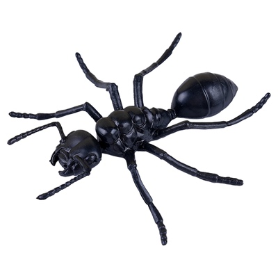 模型塑胶昆虫道具仿真动物