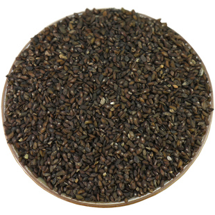 【经方集】车前子中药材打车前子粉野生江西产100/250g/500克