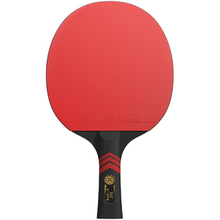 361乒乓球拍专业级正品旗舰店小学生高端碳底横拍直拍专用兵乓拍