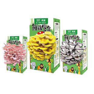 蘑菇种植包可食用蘑菇盒子菌包菌种子家种diy儿童种植蘑菇小盆栽