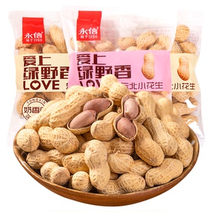 永信东北小花生蒜香花生带壳花生米独立小包装坚果炒货零食下酒菜