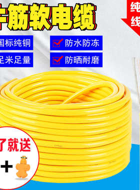 纯铜电线户外牛筋电缆2芯202.5护套米4线平方10防冻米1.5防水