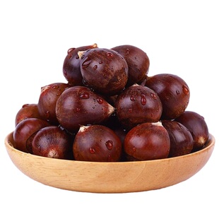 2026年现摘新鲜福建建瓯高山锥栗油栗圆栗农家生栗子特产营养好品