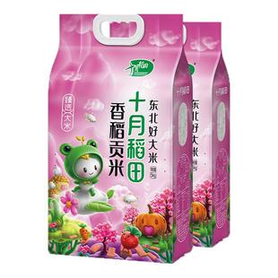 十月稻田香稻贡米5kg20斤装东北米粒圆润软糯香甜饭团香米旗舰店