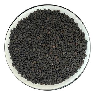 正宗秦岭深山补骨脂500g精选无硫新干货补骨脂胡韭子破故纸黑故子