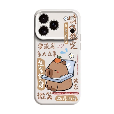 佛系卡皮巴拉适用苹果17情侣手机壳iPhone16promax磁吸15新款14莫生气13莫急mini打工人12水豚11液态硅胶男女