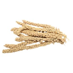 鹦鹉零食谷穗黄谷穗小米穗小鸟断奶零食杂粮磨牙学吃天然麦穗饲料