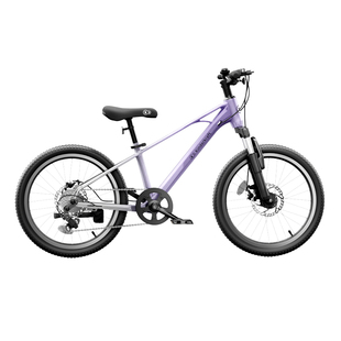 2025款儿童自行车3岁到6岁宝宝专用2岁男童小自行车女孩款脚踏车